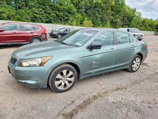 HONDA ACCORD EXL