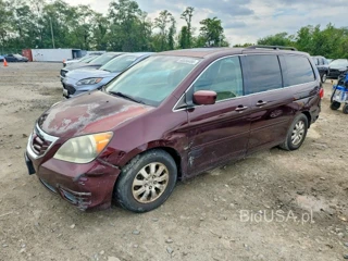 HONDA ODYSSEY EXL