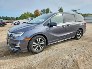 HONDA ODYSSEY ELITE