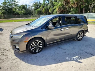 HONDA ODYSSEY ELITE