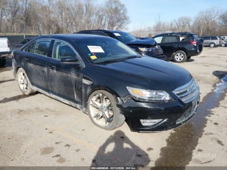 FORD FORD TAURUS SHO