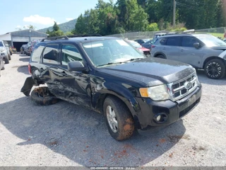 FORD FORD ESCAPE XLT