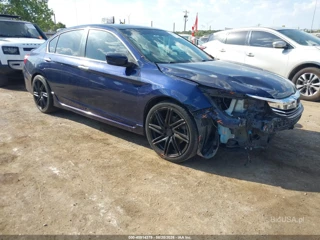 HONDA HONDA ACCORD SPORT