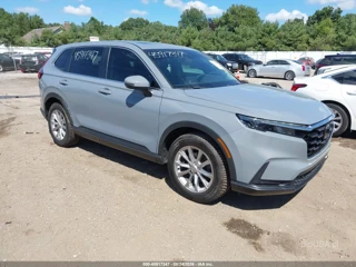 HONDA HONDA CR-V EX-L AWD