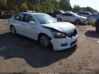 HONDA HONDA ACCORD EX-L