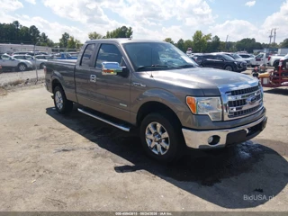FORD FORD F-150 XLT