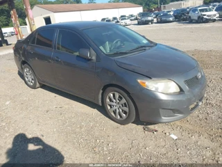 TOYOTA TOYOTA COROLLA LE