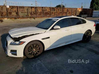JAGUAR XF R - SPORT