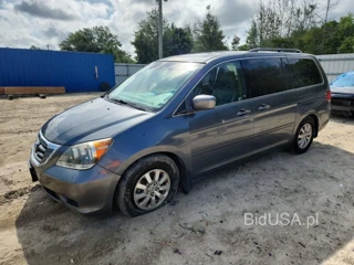HONDA ODYSSEY EXL