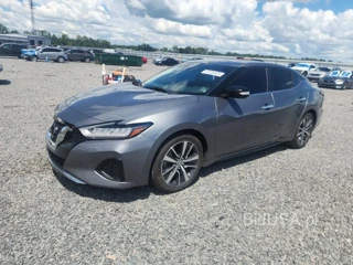NISSAN MAXIMA SV