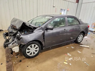 TOYOTA COROLLA BASE