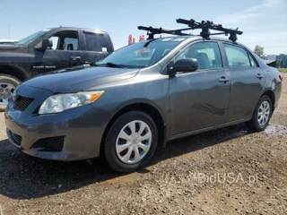 TOYOTA COROLLA BASE