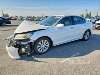 HONDA ACCORD EXL