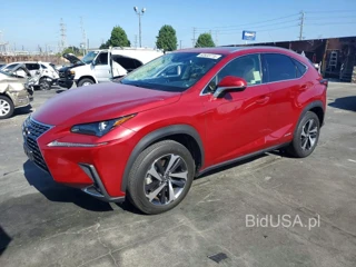 LEXUS NX 300H BASE
