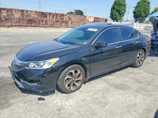 HONDA ACCORD EXL