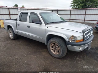 DODGE DODGE DAKOTA SPORT/SXT