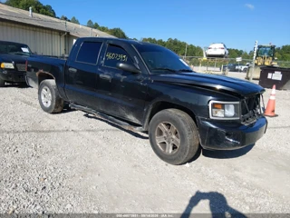 RAM RAM DAKOTA BIGHORN/LONESTAR