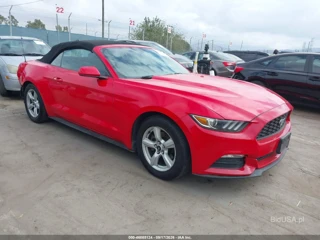 FORD FORD MUSTANG V6