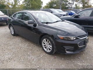 CHEVROLET CHEVROLET MALIBU 1LT
