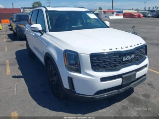 KIA KIA TELLURIDE EX