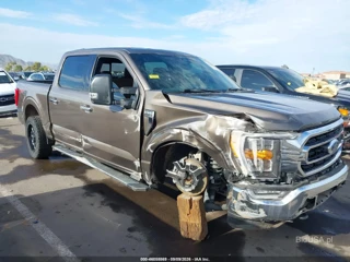 FORD FORD F-150 XLT