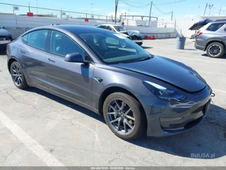 TESLA TESLA MODEL 3 REAR-WHEEL DRIVE