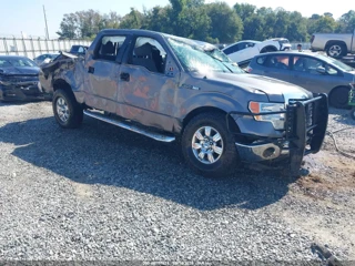 FORD FORD F-150 XLT