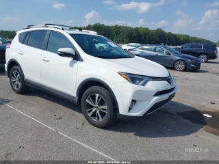 TOYOTA TOYOTA RAV4 XLE