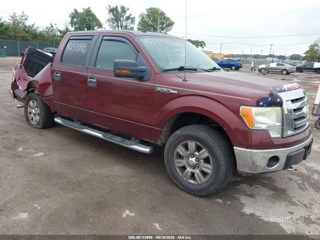 FORD FORD F-150 XLT