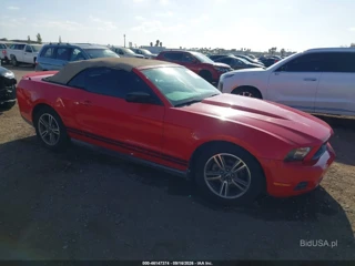 FORD FORD MUSTANG V6/V6 PREMIUM