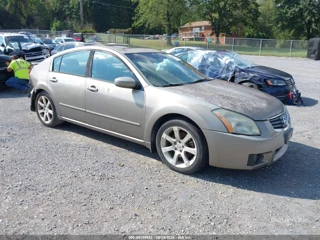 NISSAN NISSAN MAXIMA 3.5 SE