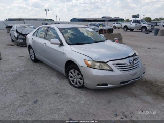 TOYOTA TOYOTA CAMRY XLE