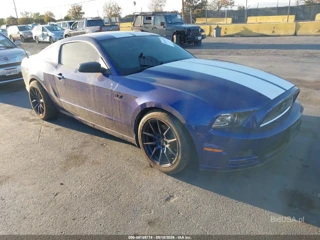 FORD FORD MUSTANG V6