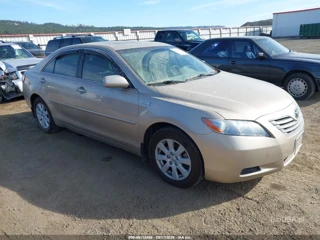 TOYOTA TOYOTA CAMRY HYBRID