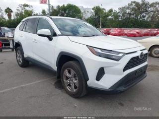 TOYOTA TOYOTA RAV4 XLE