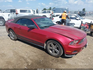 FORD FORD MUSTANG V6/V6 PREMIUM