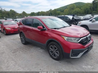 HONDA HONDA CR-V AWD EX