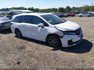 HONDA HONDA ODYSSEY TOURING