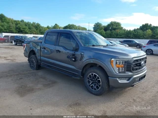 FORD FORD F-150 XLT
