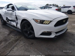 FORD FORD MUSTANG V6