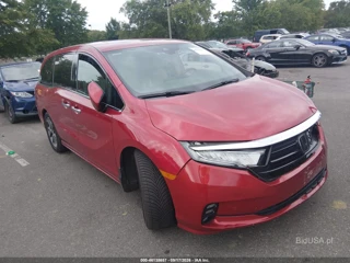 HONDA HONDA ODYSSEY ELITE