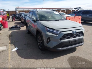 TOYOTA TOYOTA RAV4 HYBRID XLE PREMIUM