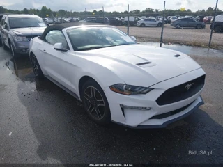 FORD FORD MUSTANG ECOBOOST PREMIUM