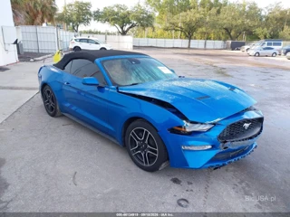 FORD FORD MUSTANG ECOBOOST PREMIUM