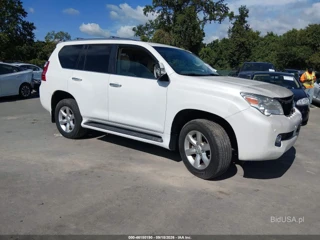 LEXUS LEXUS GX 460