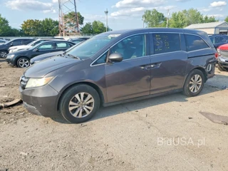 HONDA ODYSSEY EX