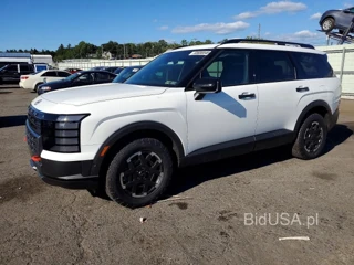 HYUNDAI PALISADE XRT PRO