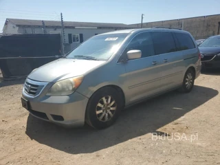 HONDA ODYSSEY EX