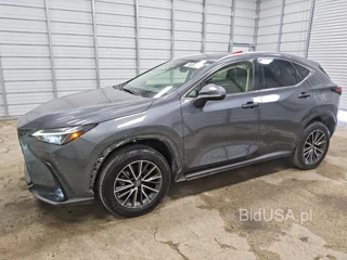 LEXUS NX 250