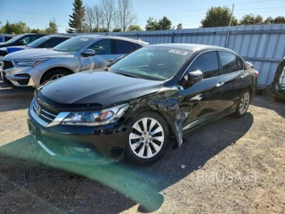 HONDA ACCORD EXL